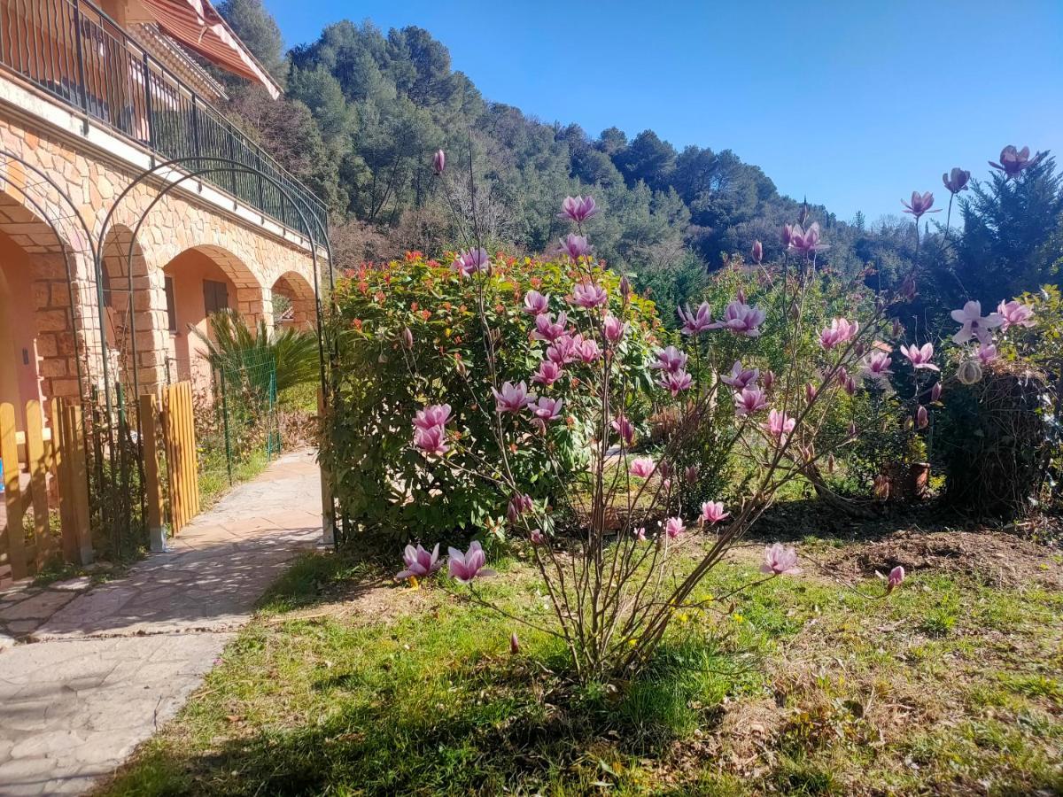 Un Brin De Paille Villa กาญเนอ-ซูร์-แมร์ ภายนอก รูปภาพ