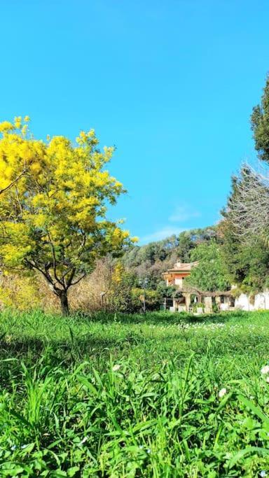 Un Brin De Paille Villa กาญเนอ-ซูร์-แมร์ ห้อง รูปภาพ